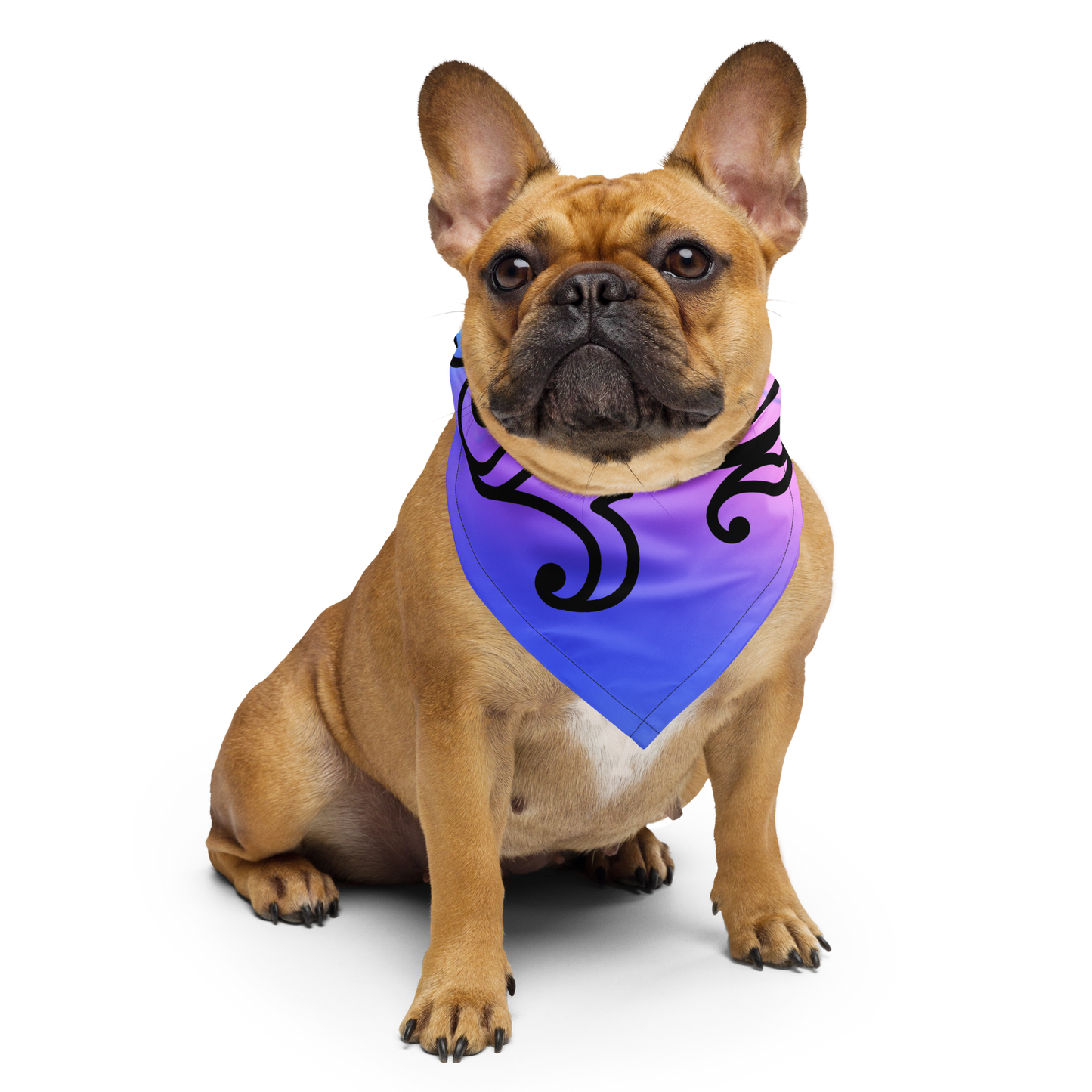 DamQueen I'm Queen of Them All Bandana