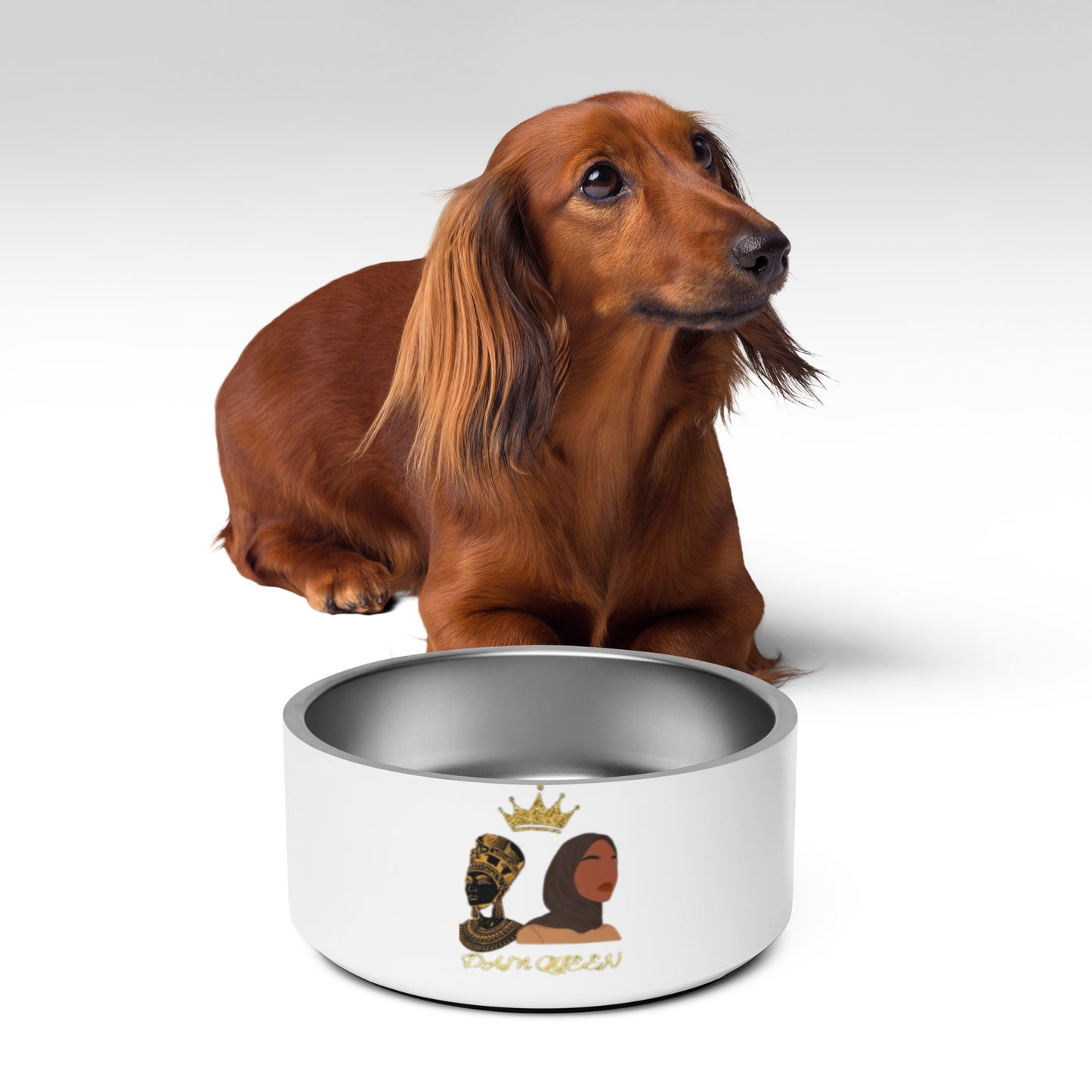 DamQueen Royal Feast Stainless Steel Pet Bowl